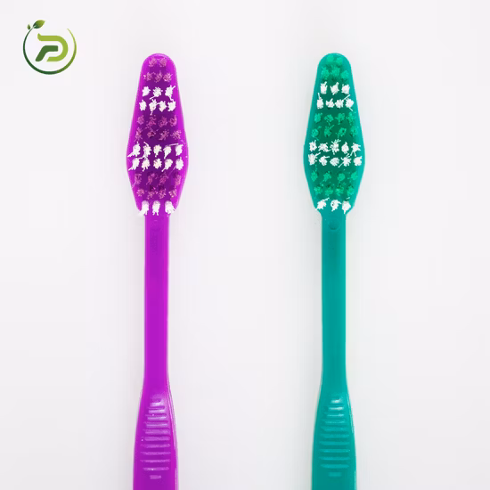 Cuidados pessoais degradáveis ​​biodegradáveis ​​adultos da escova de dentes bons